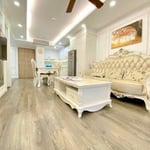 Rent of a cozy modern apartment, Hai Chau district, Da Nang, Vietnam